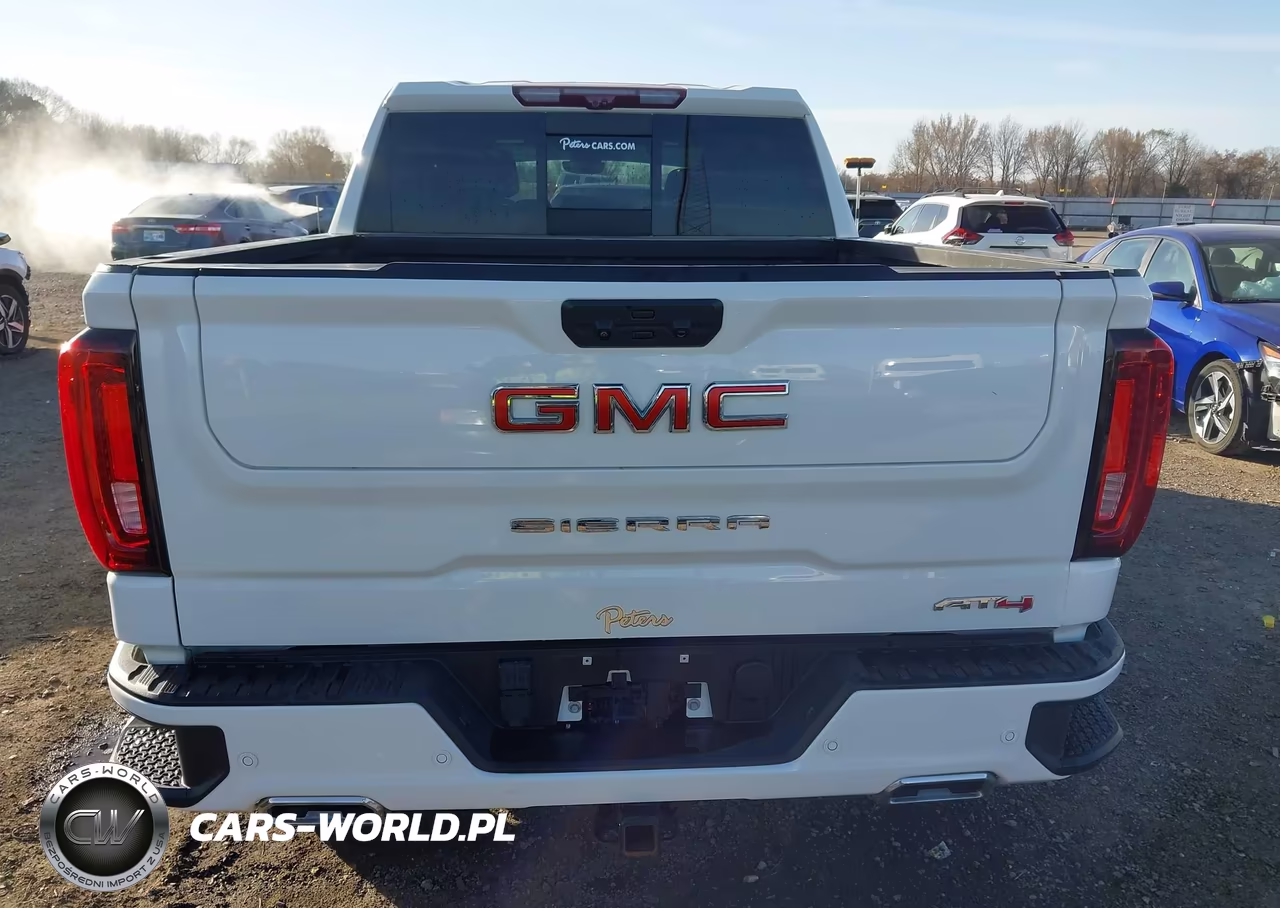 2023 GMC Sierra 1500 4Wd Short Box At4 VIN:1GTUUEE8XPZ200729 - 17