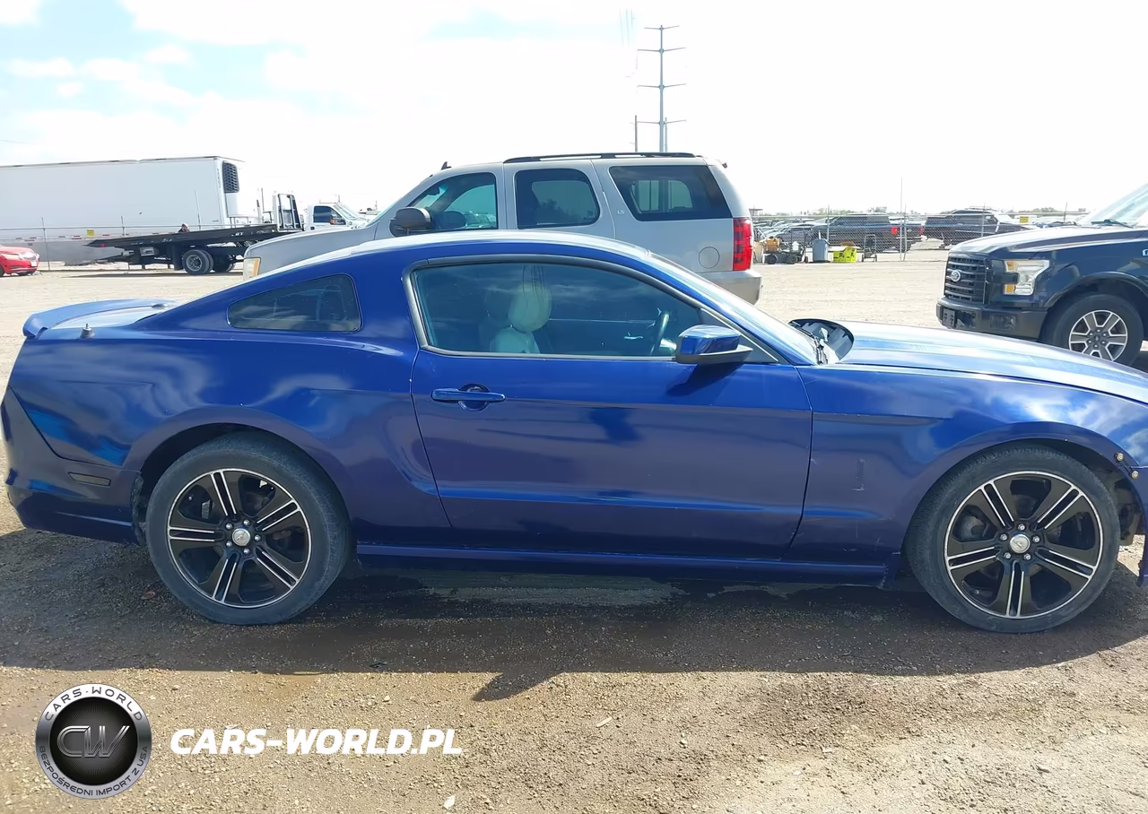 2013 Ford Mustang V6 Premium VIN:1ZVBP8AM9D5230033 - 13