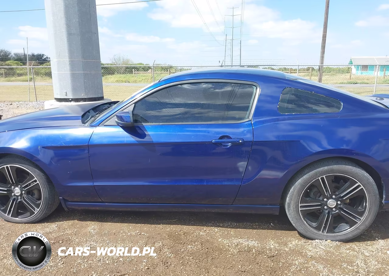 2013 Ford Mustang V6 Premium VIN:1ZVBP8AM9D5230033 - 14
