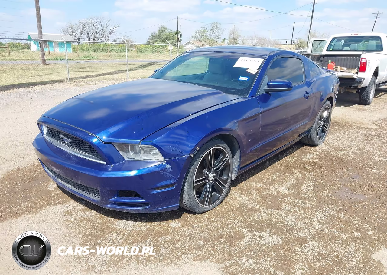 2013 Ford Mustang V6 Premium VIN:1ZVBP8AM9D5230033 - 2