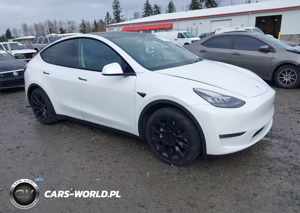 2020 Tesla Model Y Long Range Dual Motor All-Wheel Drive