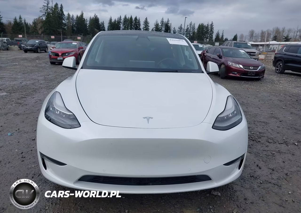 2020 Tesla Model Y Long Range Dual Motor All-Wheel Drive VIN:5YJYGDEE2LF041729 - 13