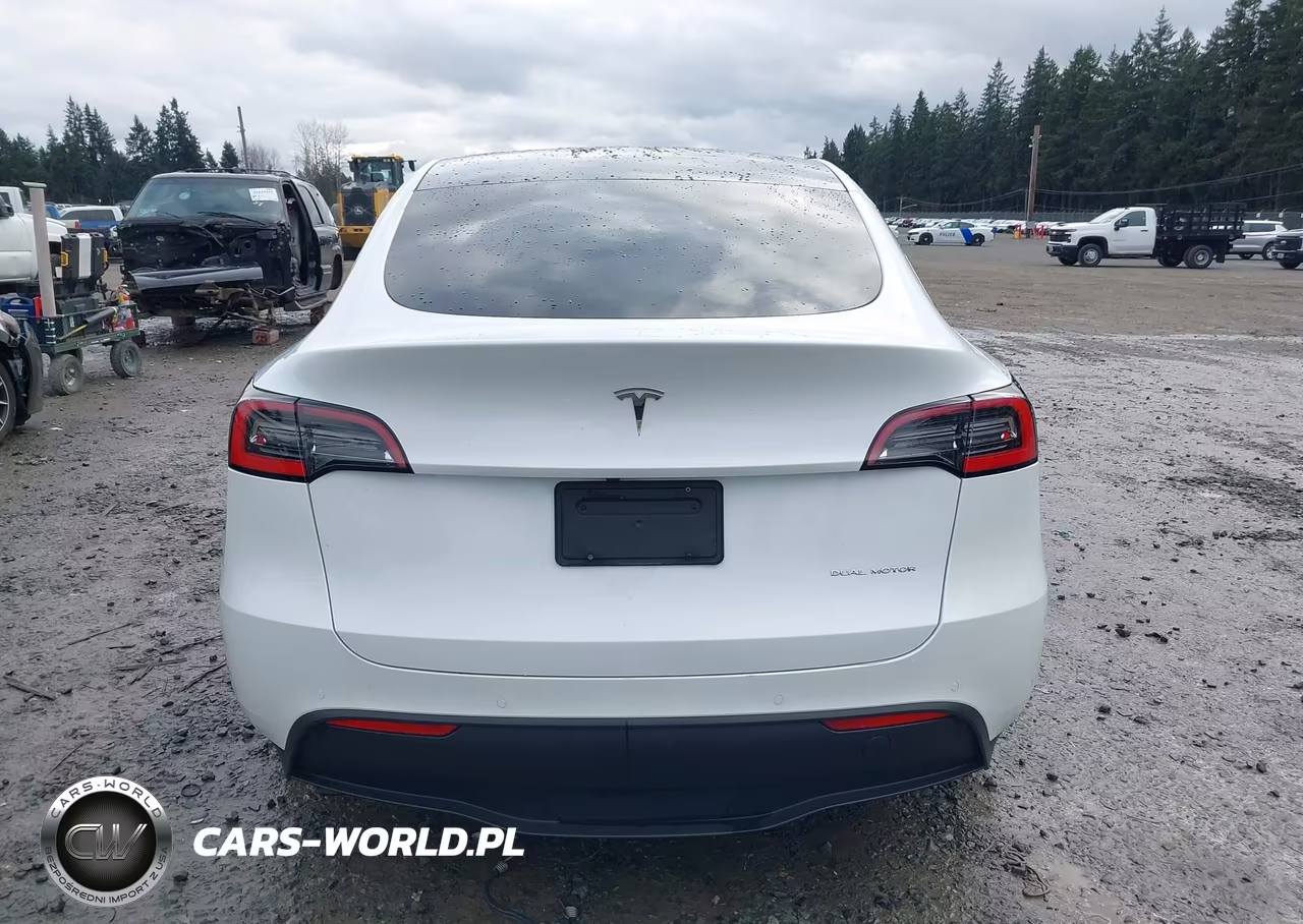 2020 Tesla Model Y Long Range Dual Motor All-Wheel Drive VIN:5YJYGDEE2LF041729 - 17