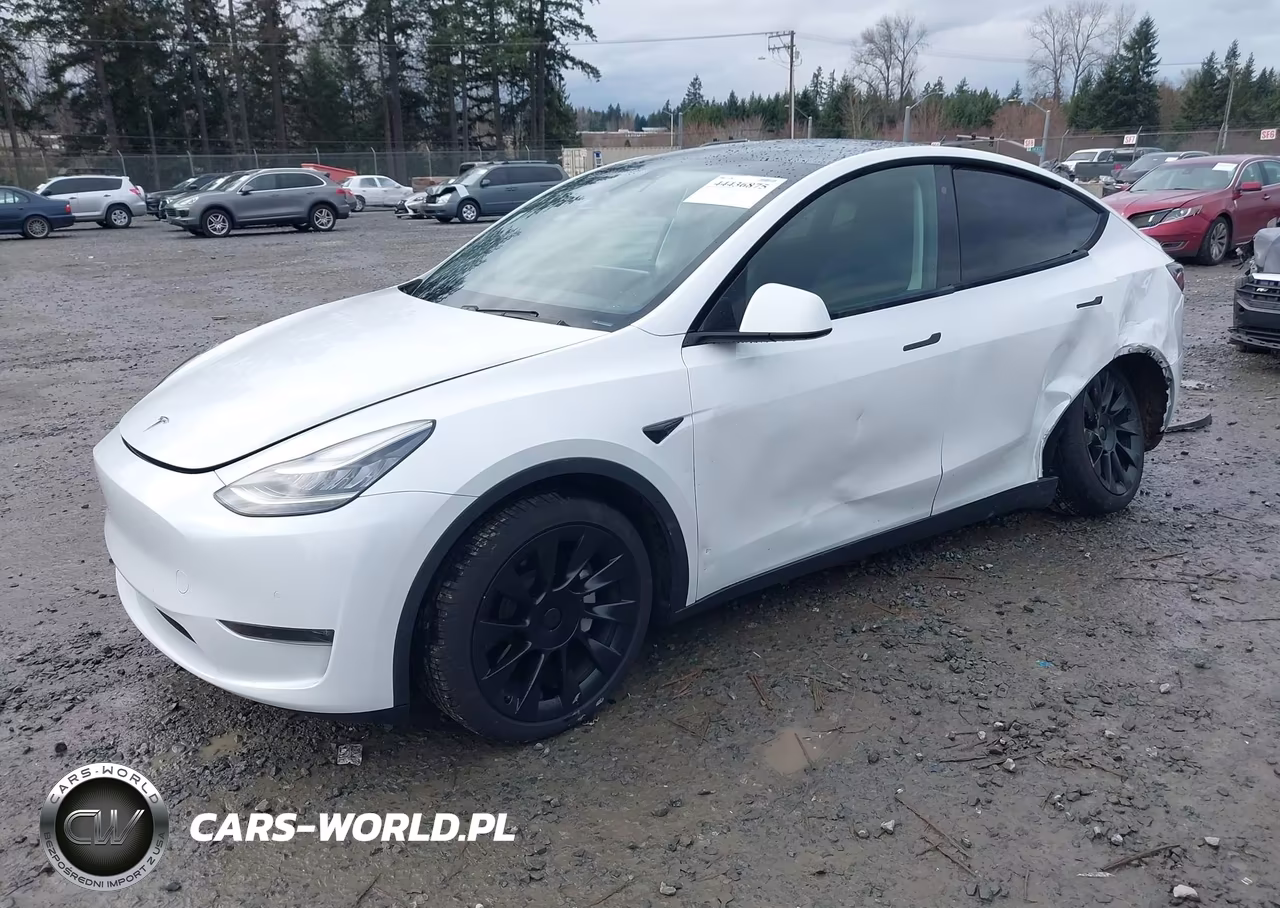 2020 Tesla Model Y Long Range Dual Motor All-Wheel Drive VIN:5YJYGDEE2LF041729 - 2