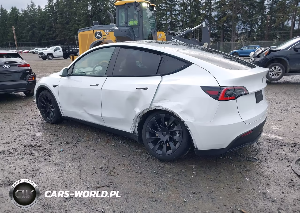 2020 Tesla Model Y Long Range Dual Motor All-Wheel Drive VIN:5YJYGDEE2LF041729 - 3