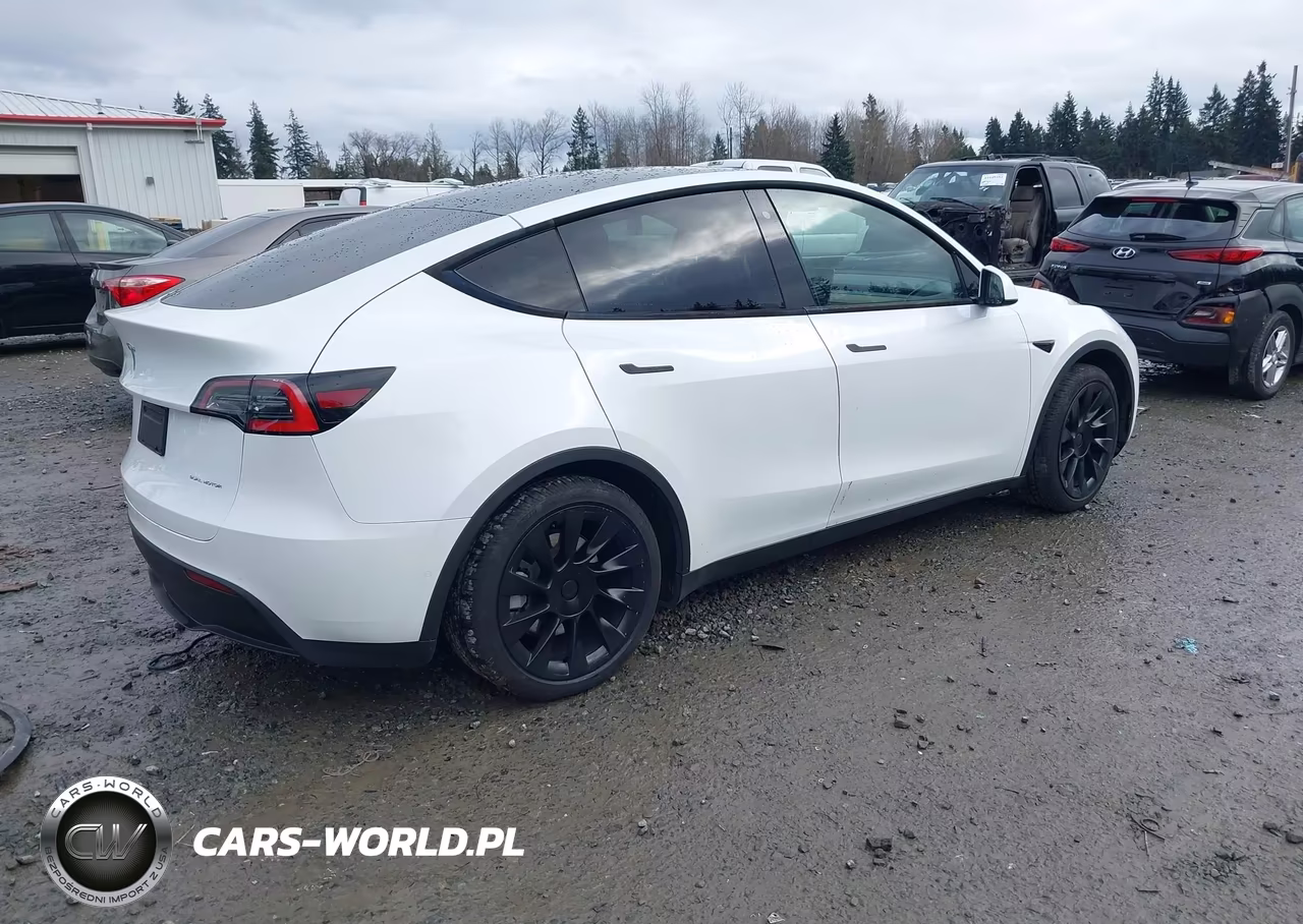 2020 Tesla Model Y Long Range Dual Motor All-Wheel Drive VIN:5YJYGDEE2LF041729 - 4