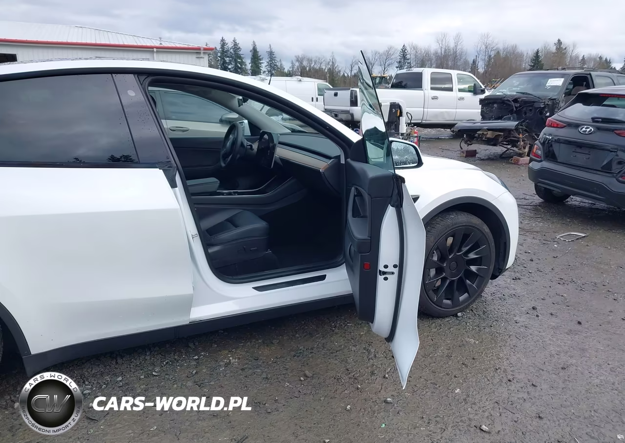 2020 Tesla Model Y Long Range Dual Motor All-Wheel Drive VIN:5YJYGDEE2LF041729 - 5
