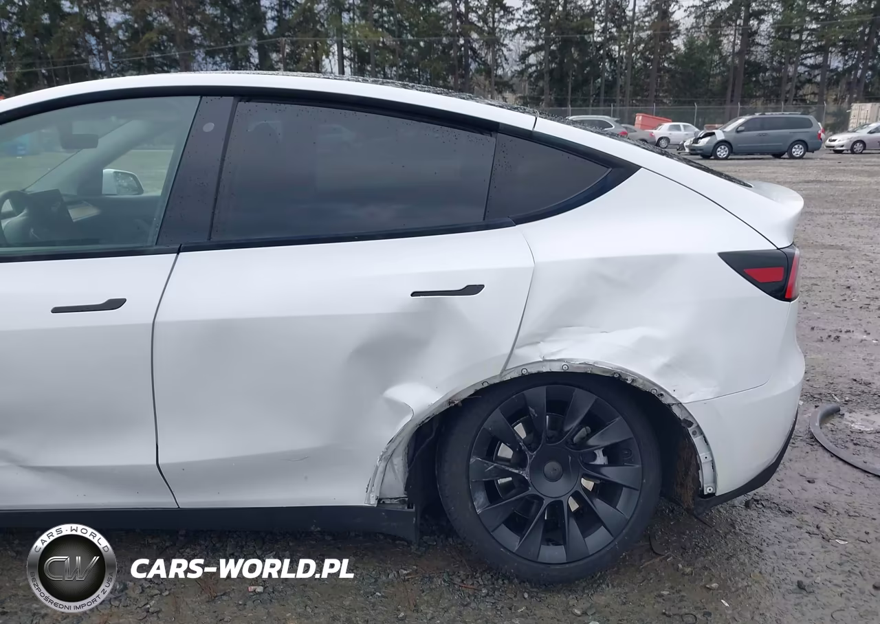 2020 Tesla Model Y Long Range Dual Motor All-Wheel Drive VIN:5YJYGDEE2LF041729 - 6
