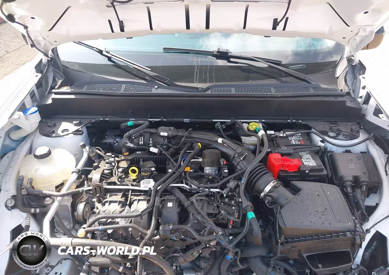 2024 Ford Maverick Xlt VIN:3FTTW8H9XRRB03873 - 10