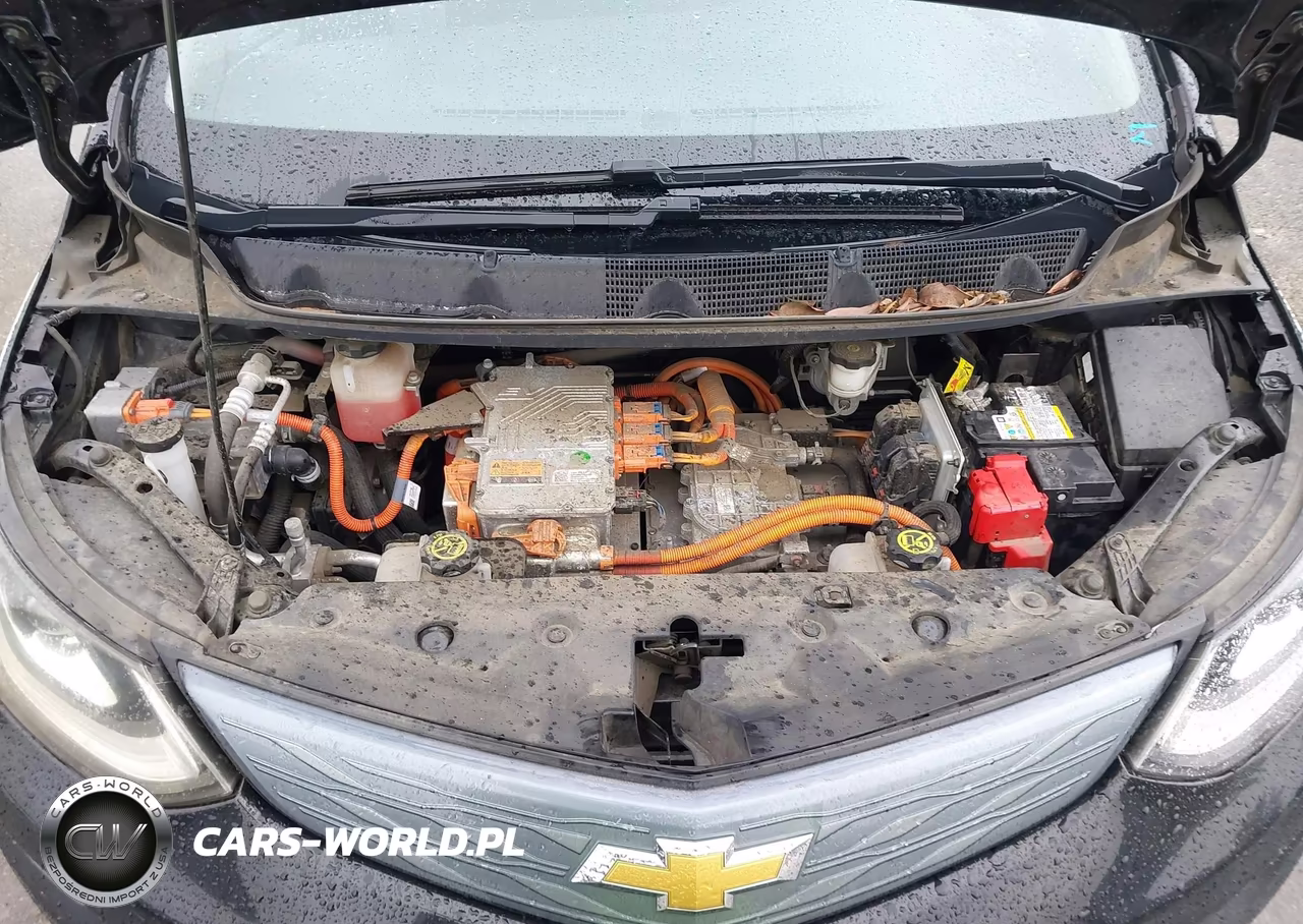 2019 Chevrolet Bolt Ev Lt VIN:1G1FY6S01K4109087 - 10