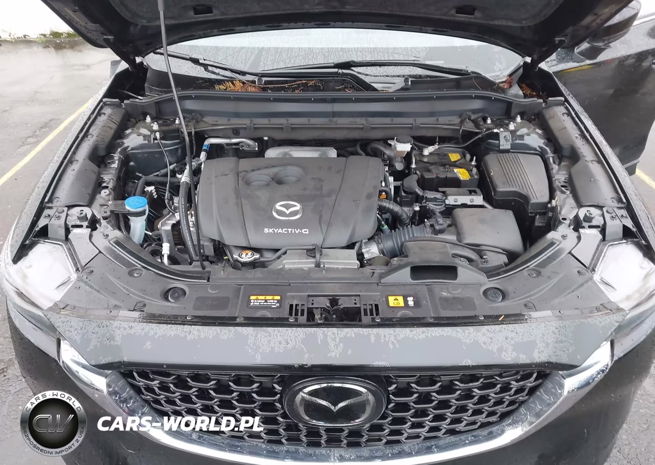 2024 Mazda Cx-5 2.5 S Premium Plus VIN:JM3KFBEL4R0445075 - 10