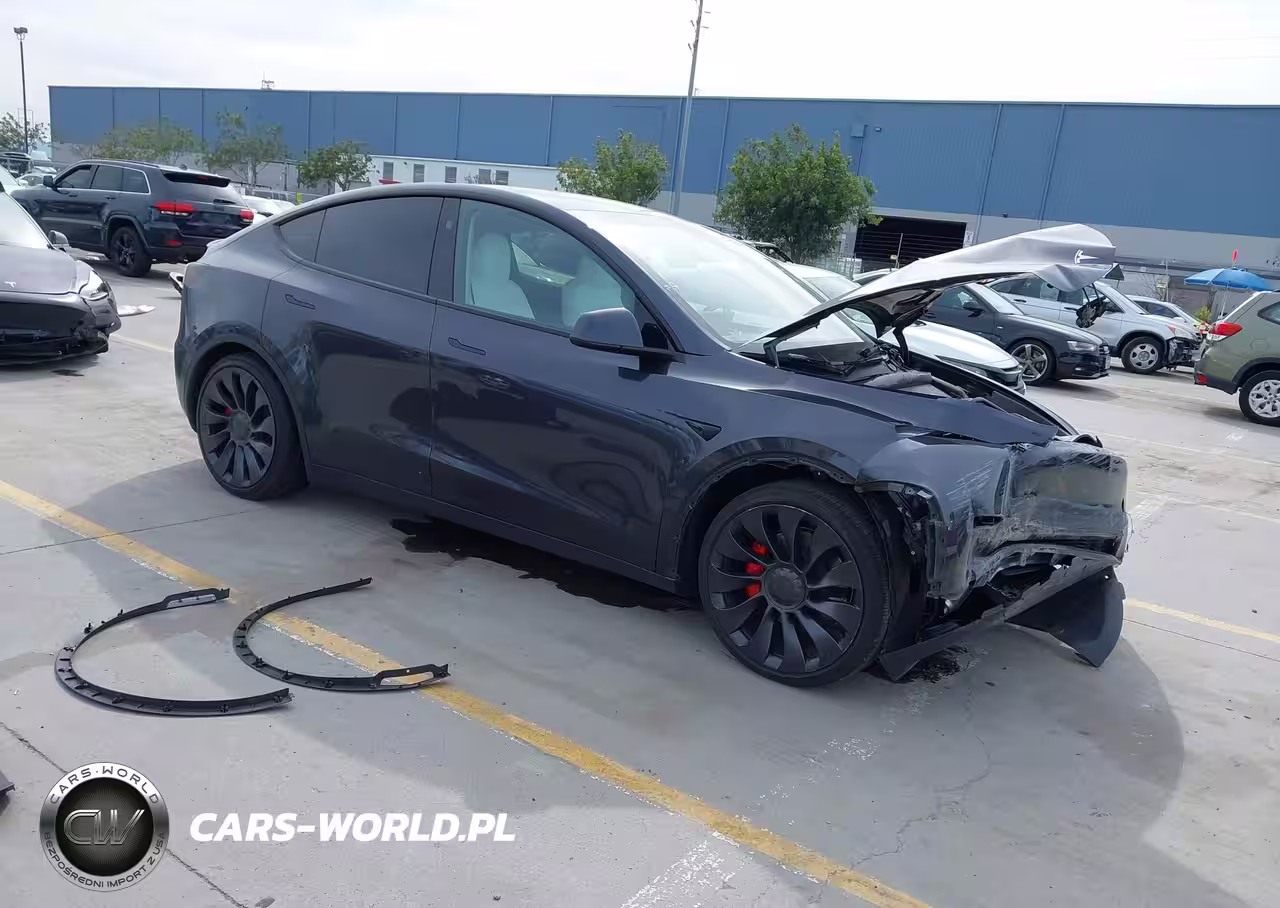 2024 Tesla Model Y Performance Dual Motor All-Wheel Drive