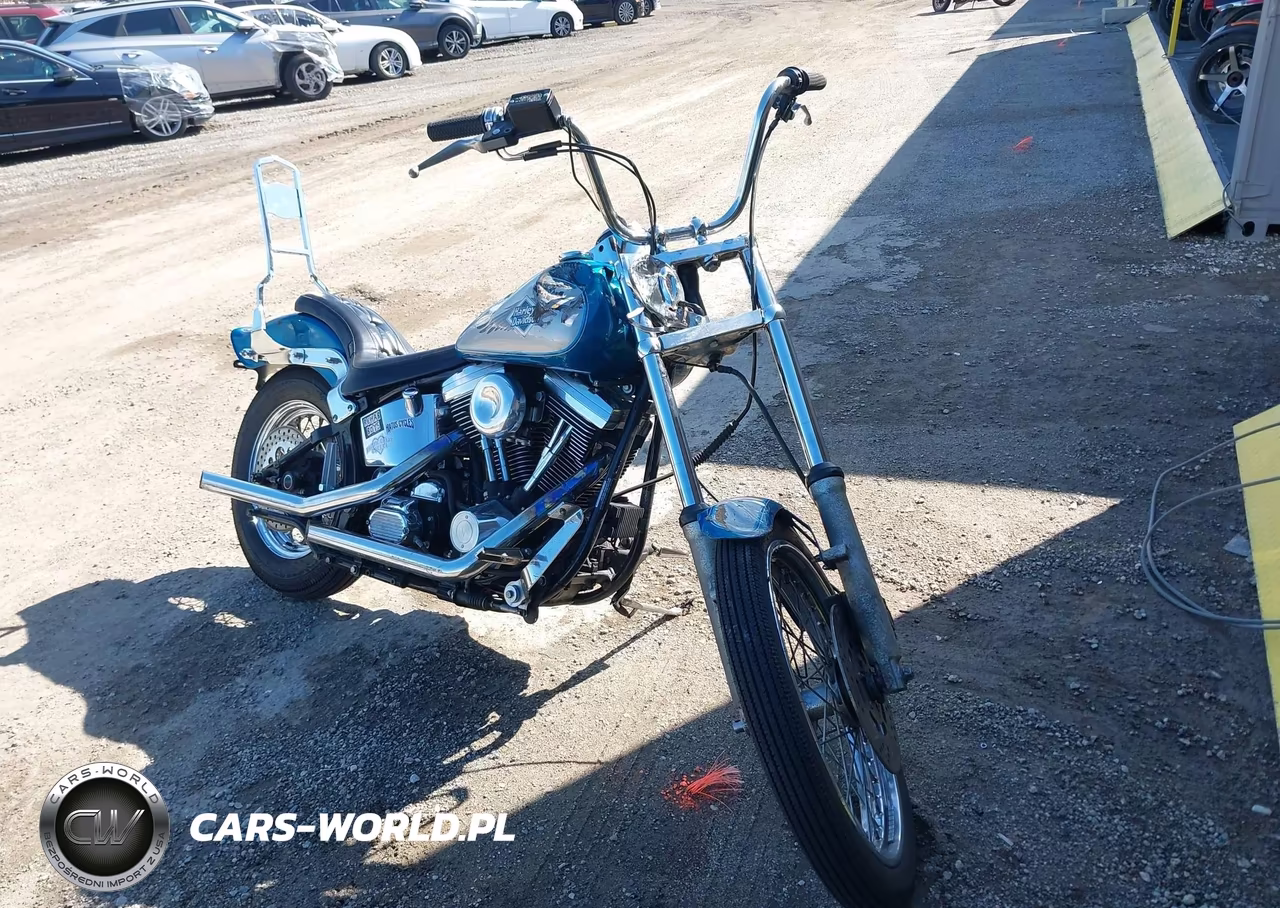 1995 Harley-Davidson Fxst Custom