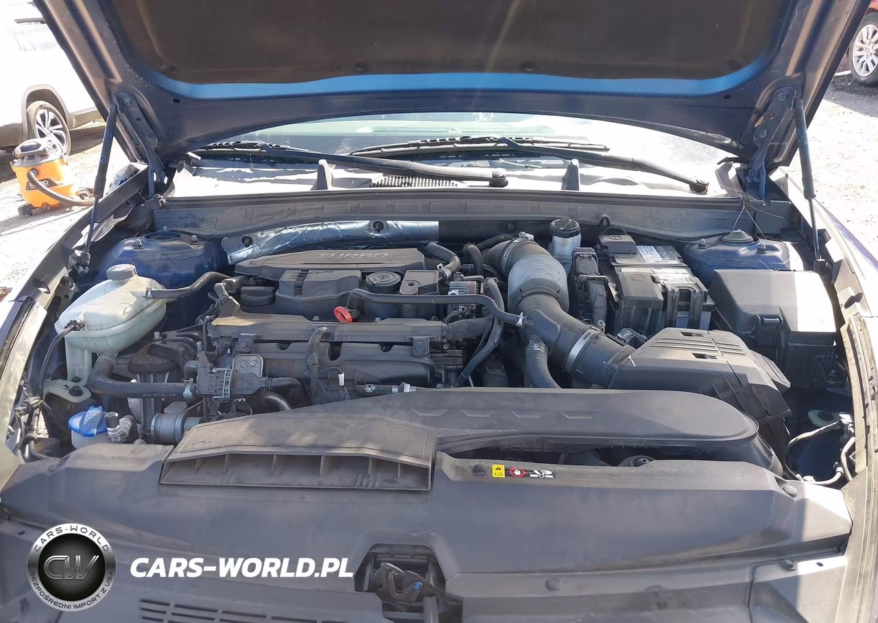 2020 Hyundai Sonata Limited VIN:5NPEH4J2XLH048831 - 10