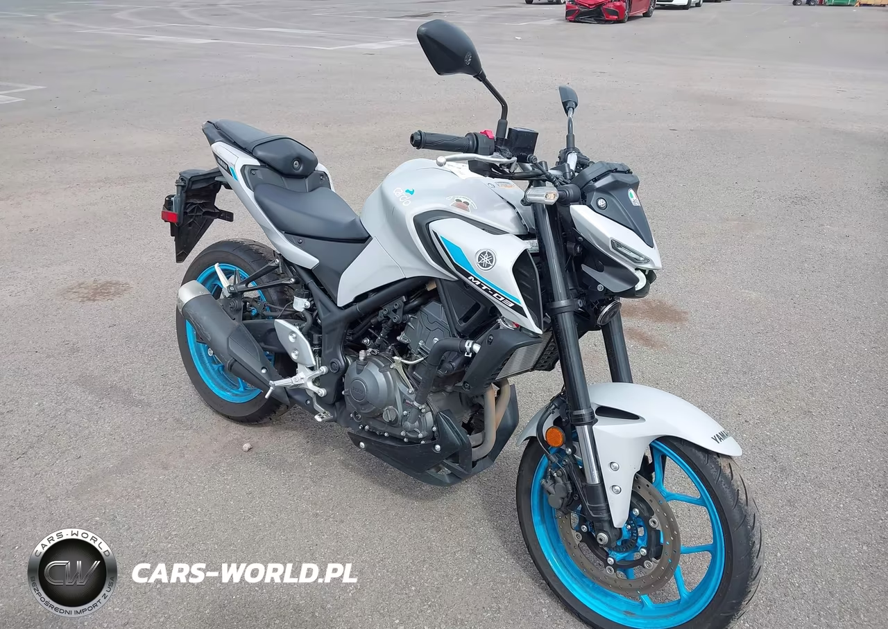 2025 Yamaha Mtn320 A