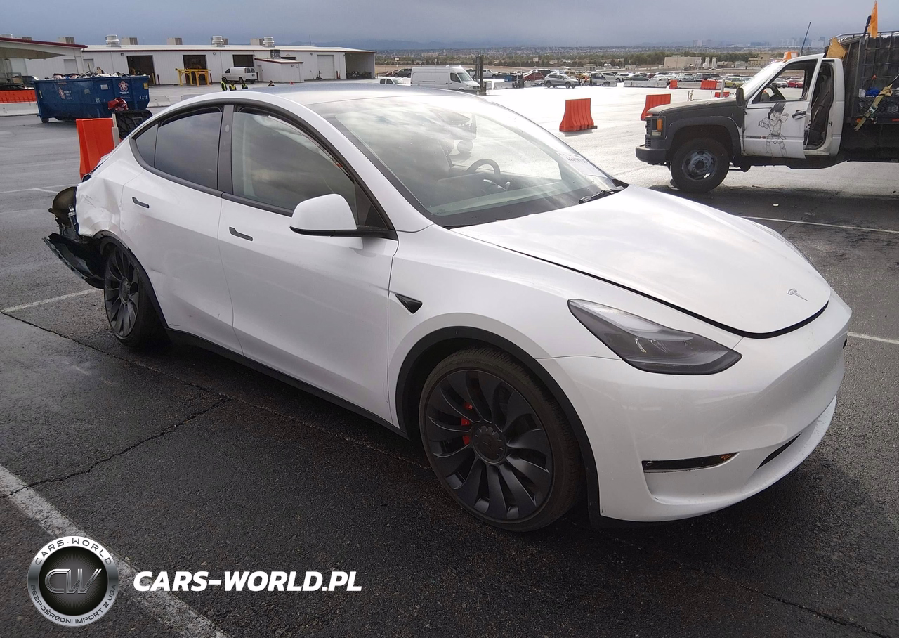 2024 Tesla Model Y Performance Dual Motor All-Wheel Drive