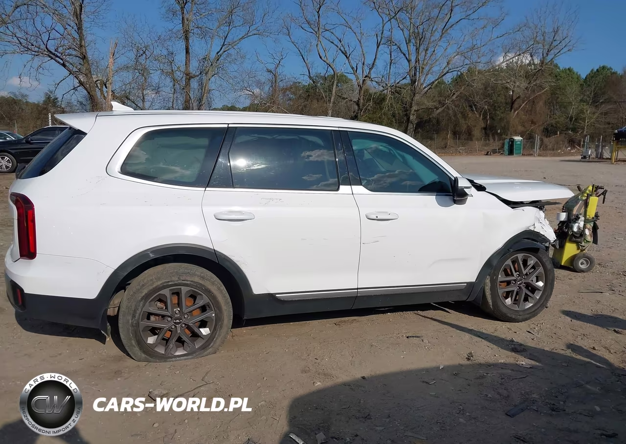 2023 Kia Telluride Lx VIN:5XYP2DGC1PG364786 - 12