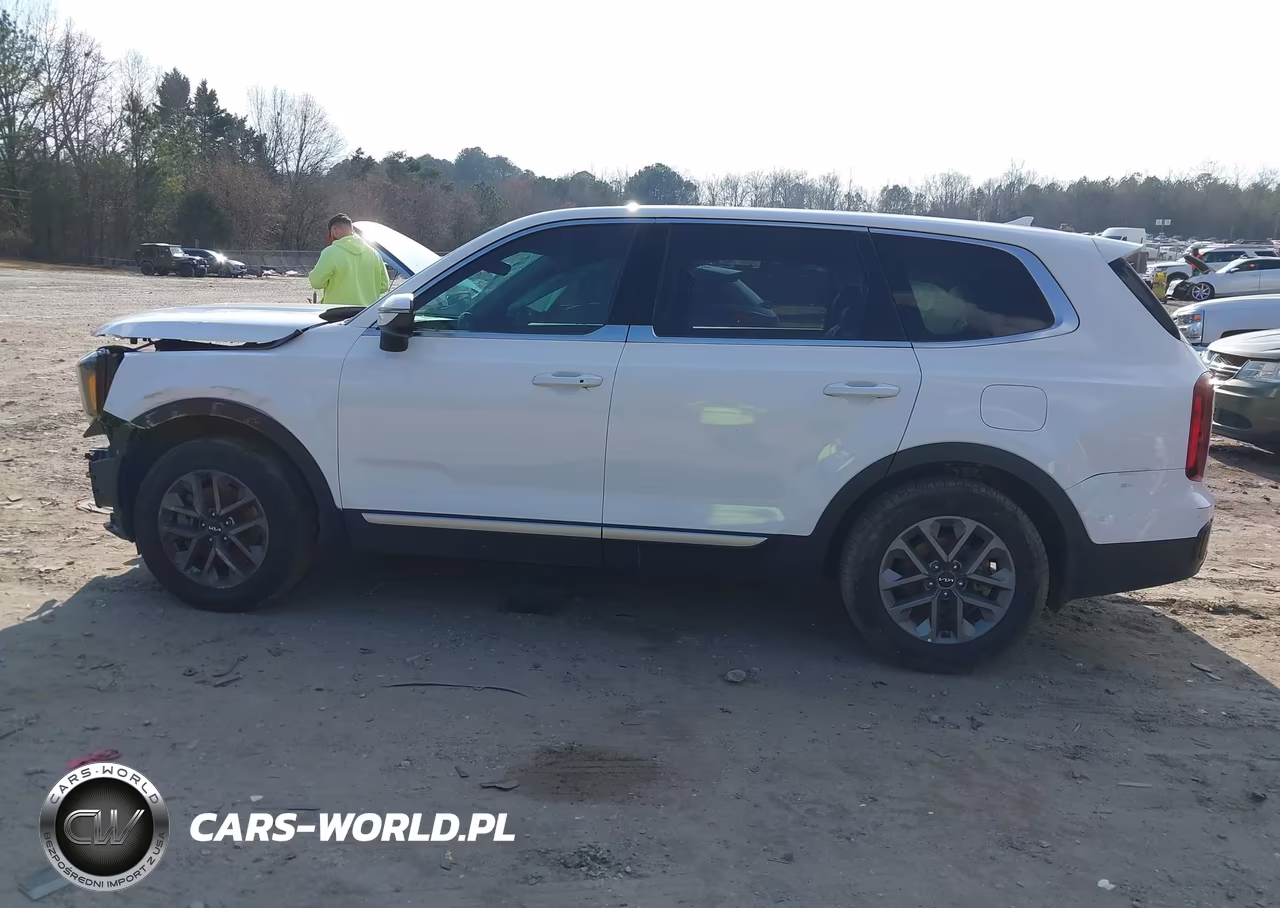 2023 Kia Telluride Lx VIN:5XYP2DGC1PG364786 - 13