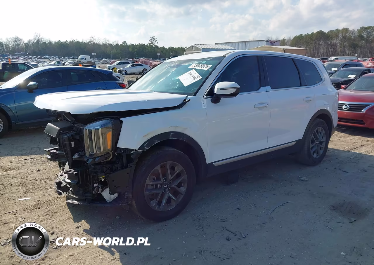 2023 Kia Telluride Lx VIN:5XYP2DGC1PG364786 - 2