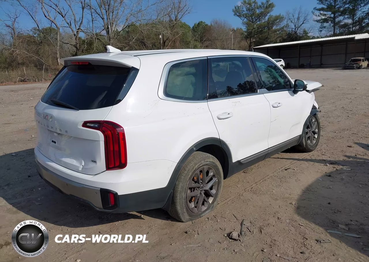 2023 Kia Telluride Lx VIN:5XYP2DGC1PG364786 - 4