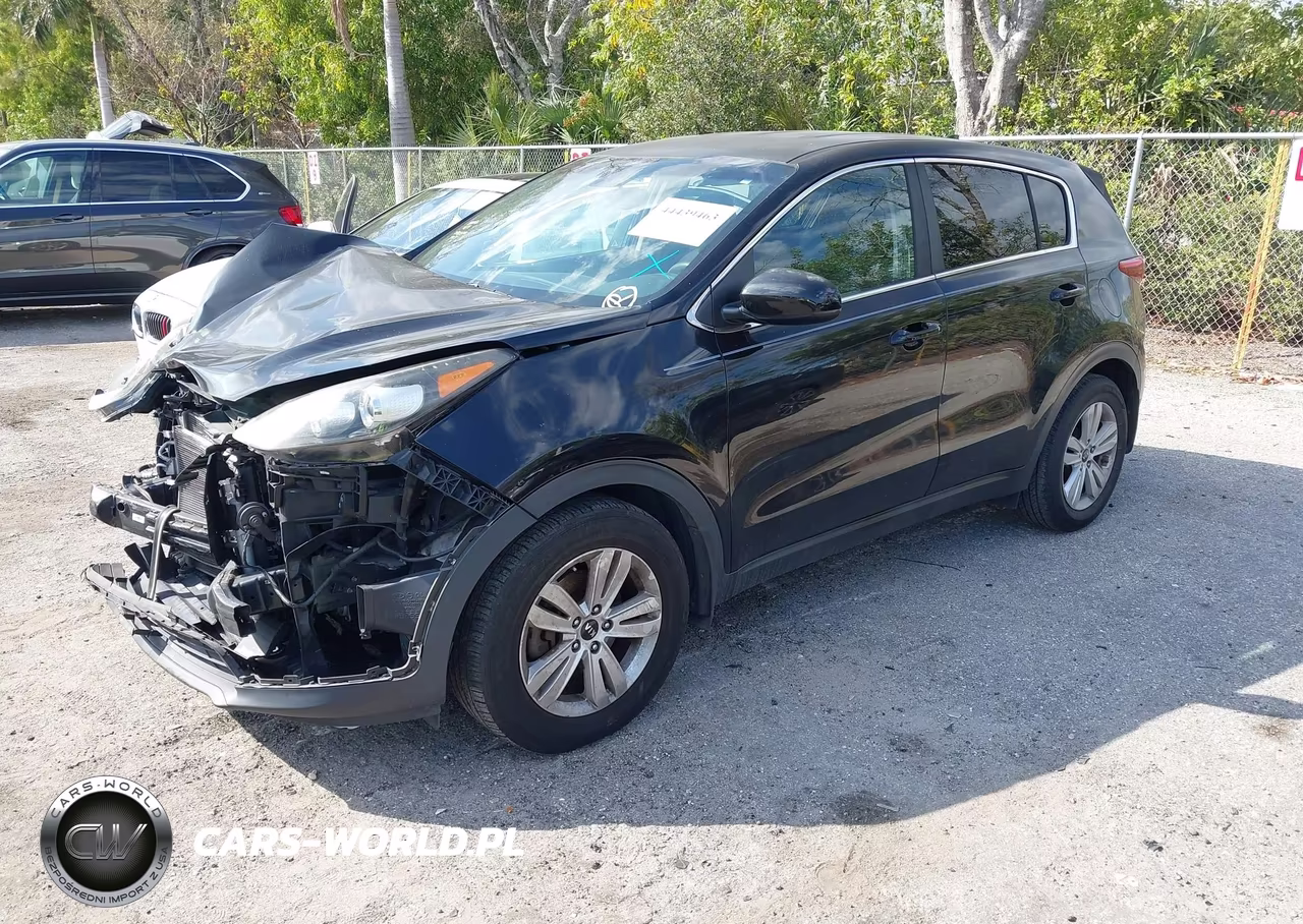 2019 Kia Sportage Lx VIN:KNDPM3AC7K7540307 - 2