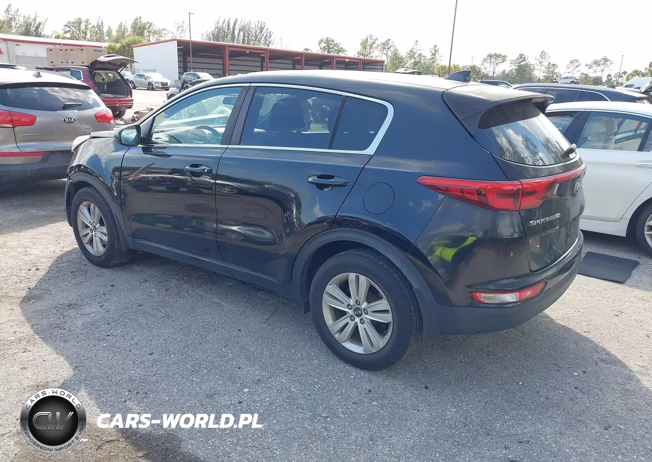 2019 Kia Sportage Lx VIN:KNDPM3AC7K7540307 - 3