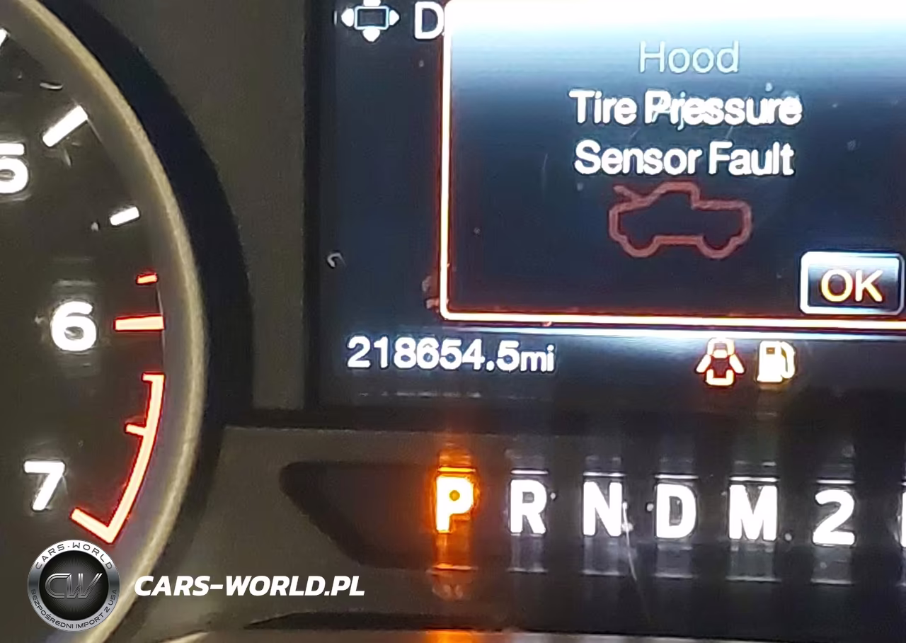 2015 Ford F-150 Xlt VIN:1FTFW1EG7FKD21101 - 15