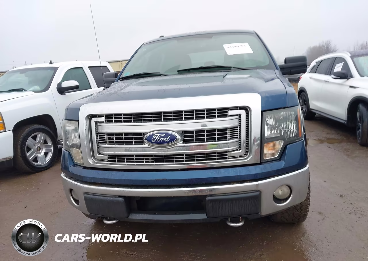 2013 Ford F-150 Xlt VIN:1FTFW1EF1DFC18821 - 12