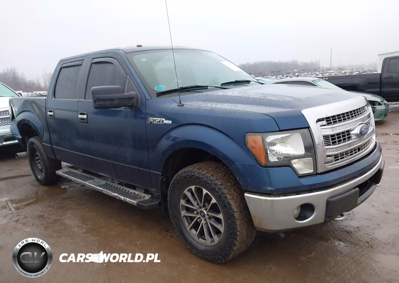 2013 Ford F-150 Xlt VIN:1FTFW1EF1DFC18821 - 13