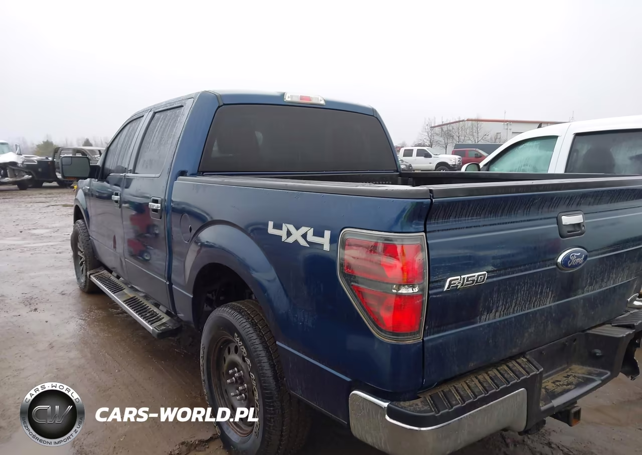 2013 Ford F-150 Xlt VIN:1FTFW1EF1DFC18821 - 14