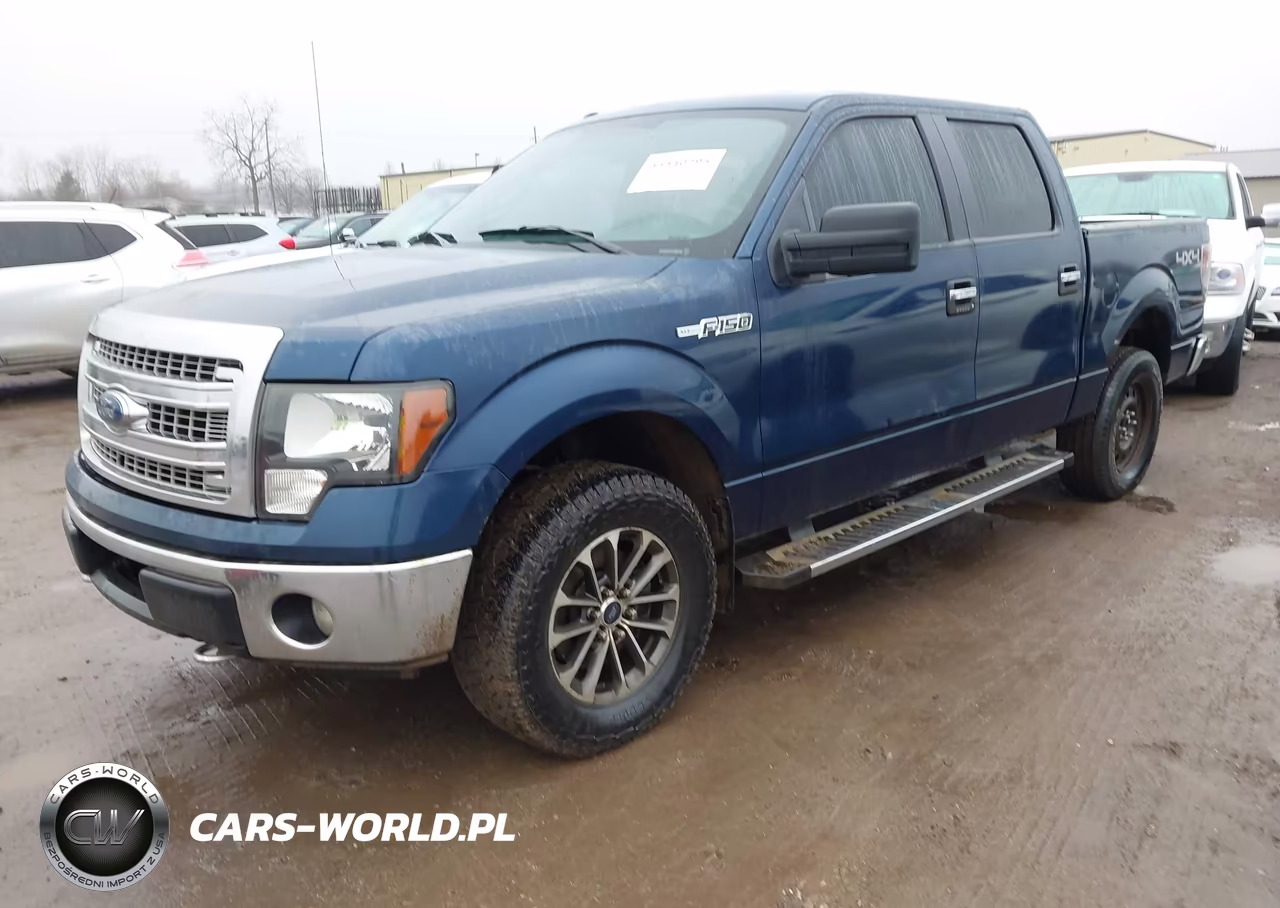 2013 Ford F-150 Xlt VIN:1FTFW1EF1DFC18821 - 2