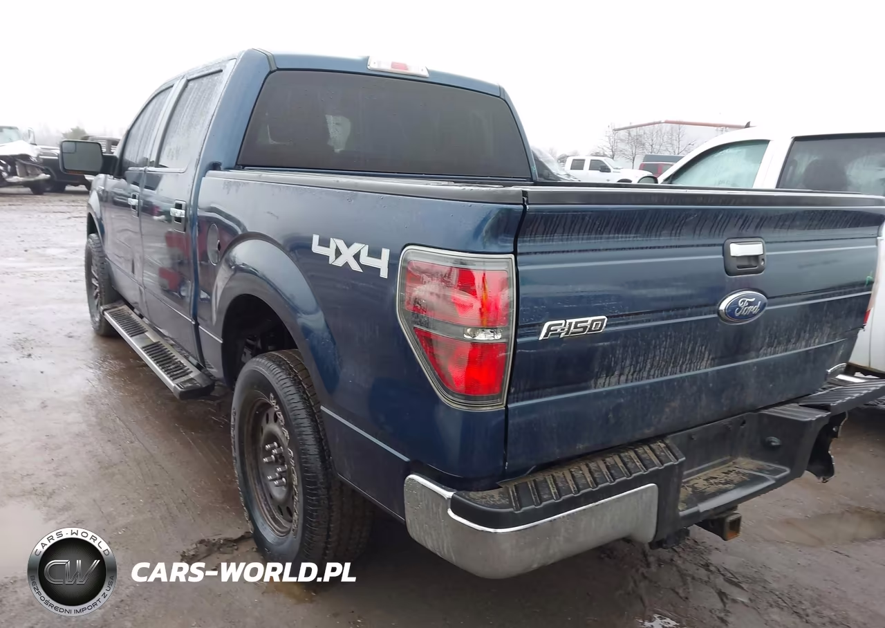 2013 Ford F-150 Xlt VIN:1FTFW1EF1DFC18821 - 3