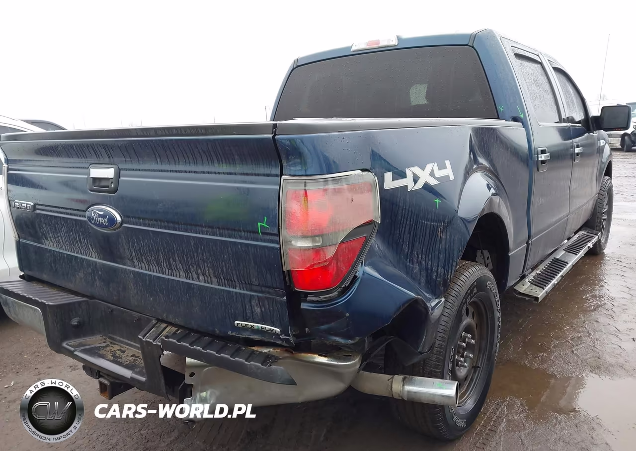 2013 Ford F-150 Xlt VIN:1FTFW1EF1DFC18821 - 6