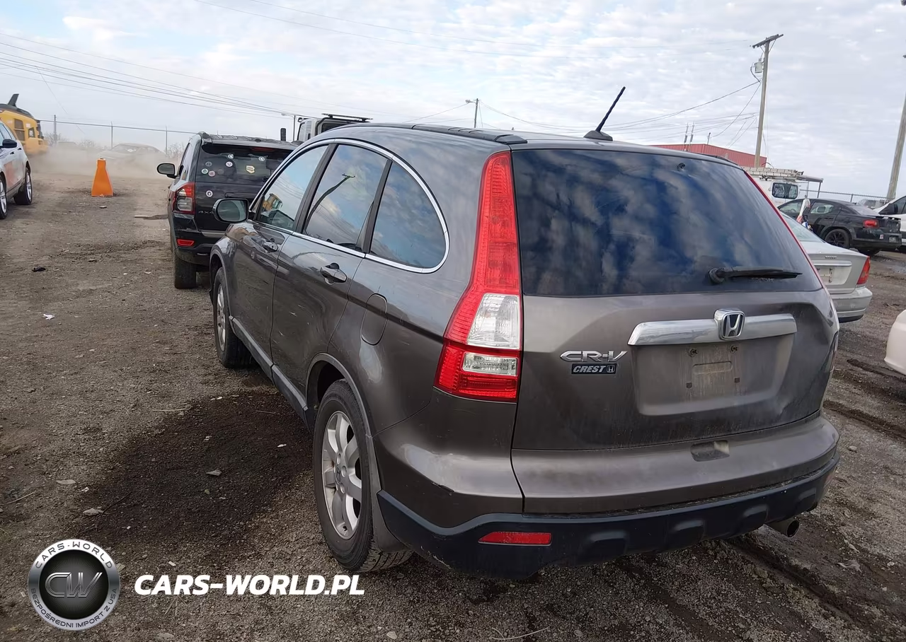 2009 Honda Cr-V Ex-L VIN:5J6RE38759L028037 - 3