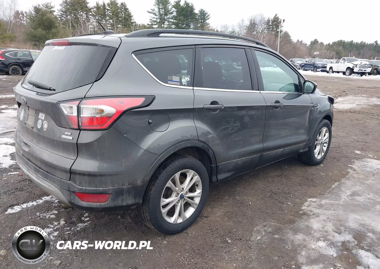 2017 Ford Escape Se VIN:1FMCU0GD2HUC27765 - 4