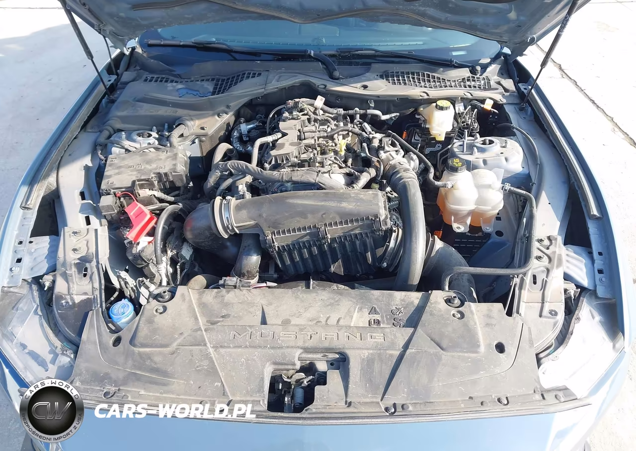 2024 Ford Mustang Ecoboost Fastback VIN:1FA6P8TH0R5142103 - 10