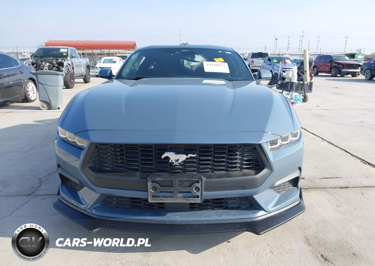 2024 Ford Mustang Ecoboost Fastback VIN:1FA6P8TH0R5142103 - 13