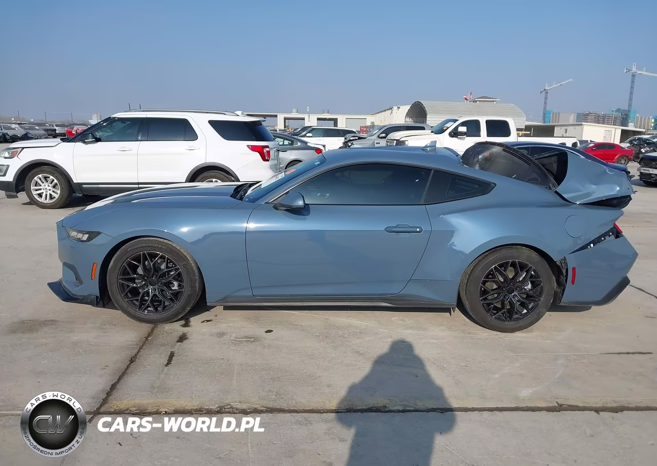 2024 Ford Mustang Ecoboost Fastback VIN:1FA6P8TH0R5142103 - 15