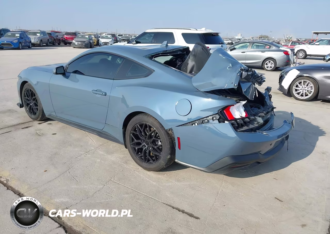 2024 Ford Mustang Ecoboost Fastback VIN:1FA6P8TH0R5142103 - 3