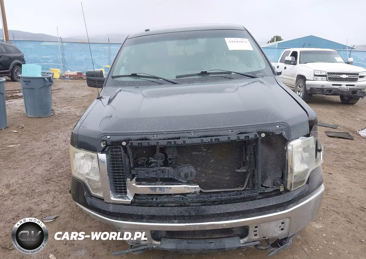 2010 Ford F-150 Fx4-Harley-Davidson-King Ranch-Lariat-Platinum-Xl-Xlt VIN:1FTFW1EVXAFD34456 - 12