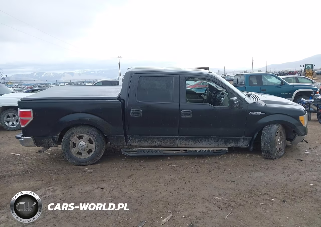 2010 Ford F-150 Fx4-Harley-Davidson-King Ranch-Lariat-Platinum-Xl-Xlt VIN:1FTFW1EVXAFD34456 - 13