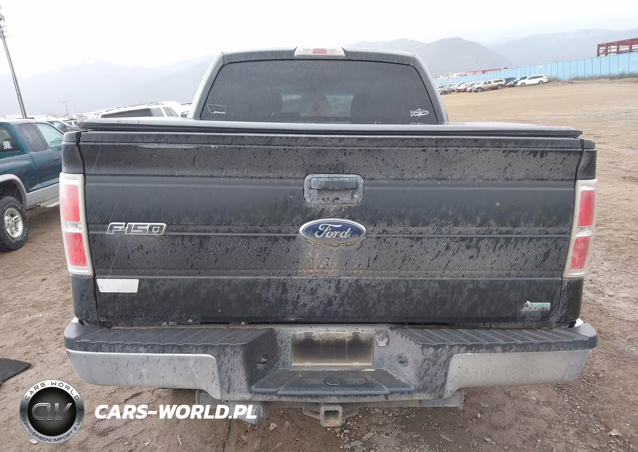 2010 Ford F-150 Fx4-Harley-Davidson-King Ranch-Lariat-Platinum-Xl-Xlt VIN:1FTFW1EVXAFD34456 - 16