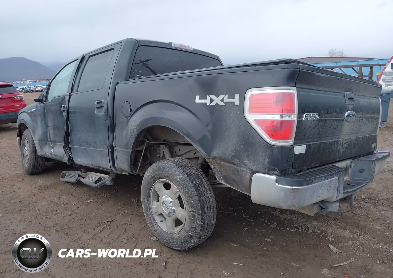 2010 Ford F-150 Fx4-Harley-Davidson-King Ranch-Lariat-Platinum-Xl-Xlt VIN:1FTFW1EVXAFD34456 - 3