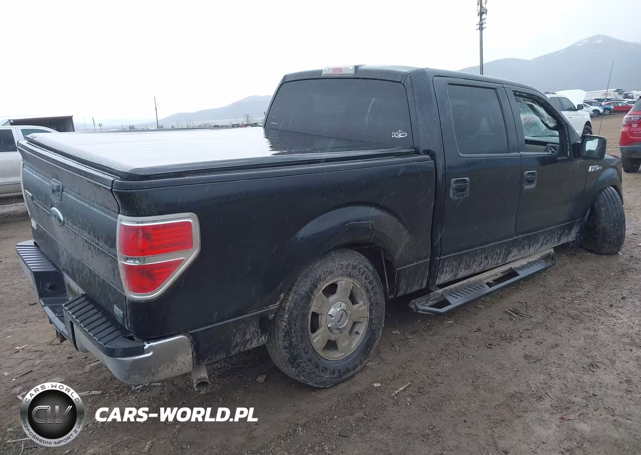 2010 Ford F-150 Fx4-Harley-Davidson-King Ranch-Lariat-Platinum-Xl-Xlt VIN:1FTFW1EVXAFD34456 - 4