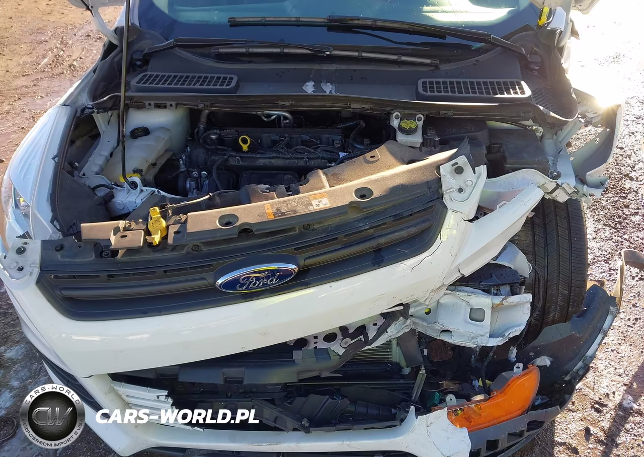 2015 Ford Escape S VIN:1FMCU0F71FUC60460 - 10