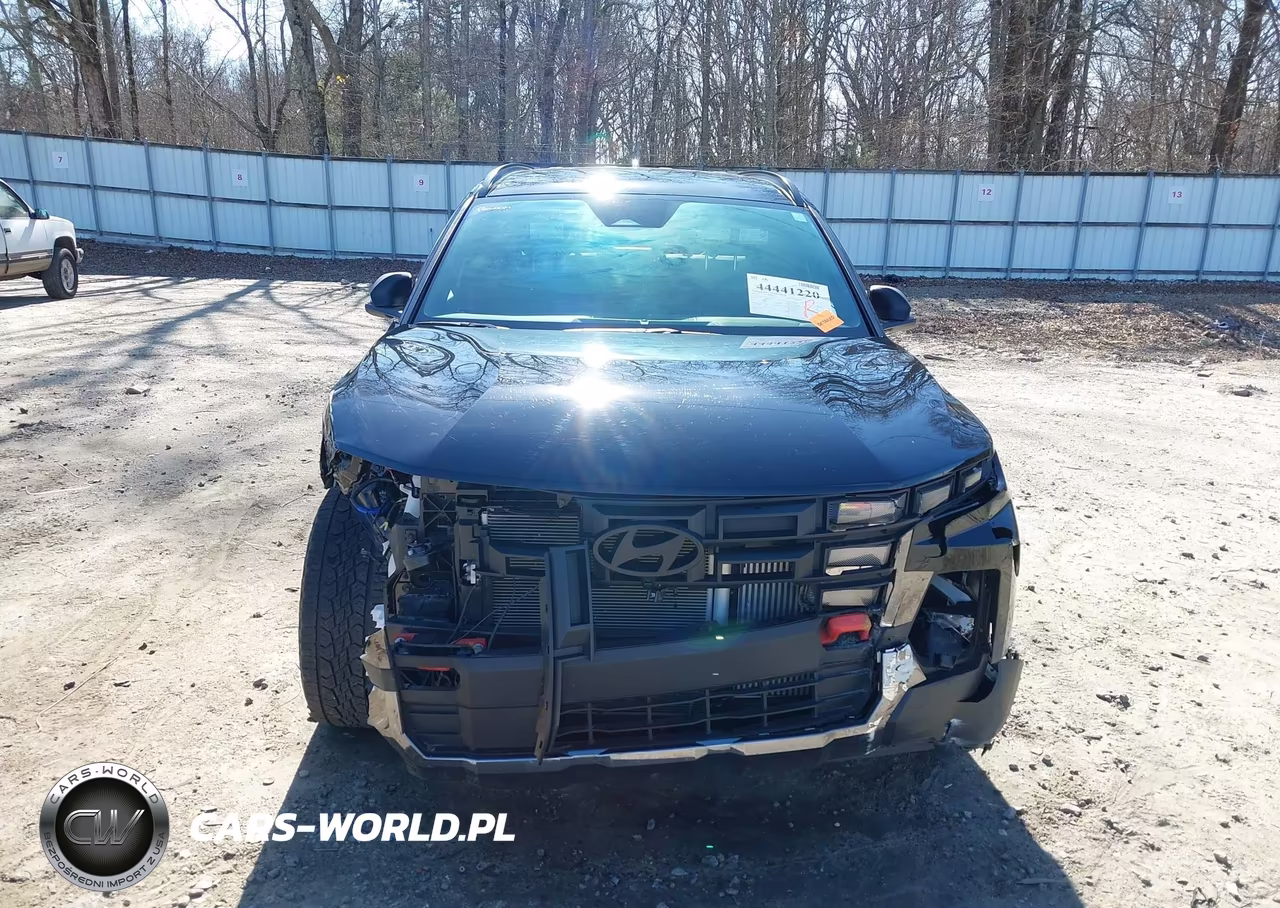 2025 Hyundai Santa Cruz Xrt VIN:5NTJDDDF4SH147105 - 12
