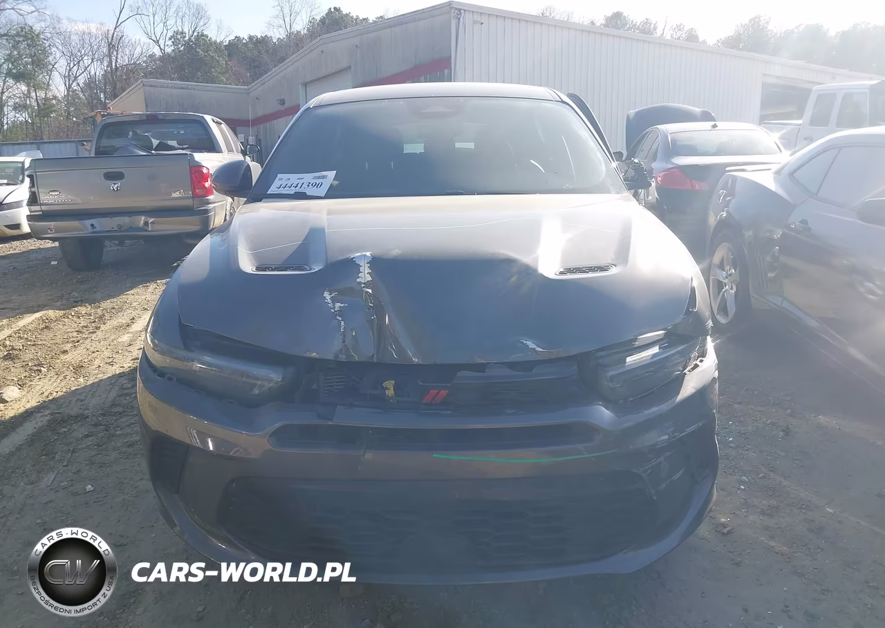 2024 Dodge Hornet Gt Awd VIN:ZACNDFAN2R3A37007 - 12