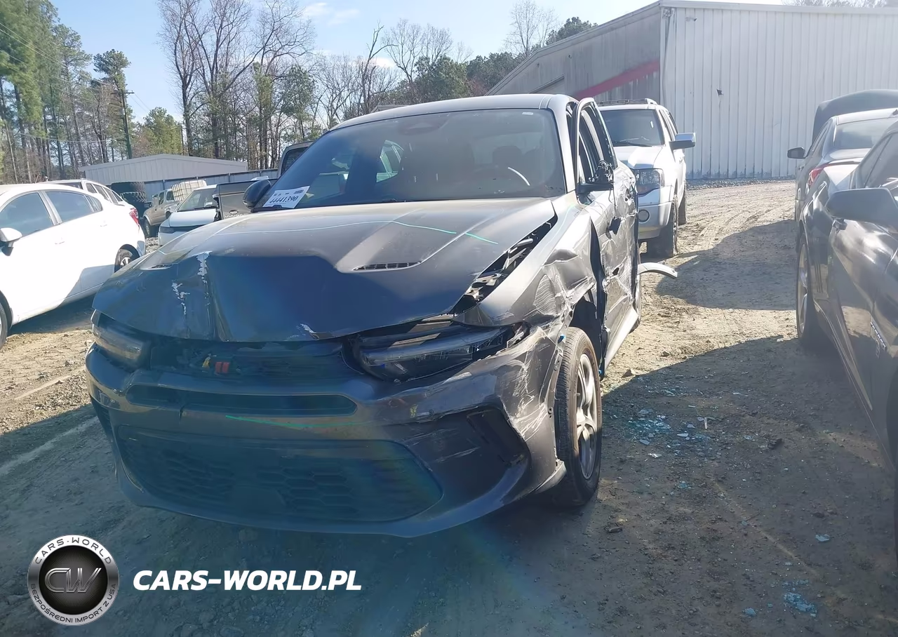 2024 Dodge Hornet Gt Awd VIN:ZACNDFAN2R3A37007 - 2