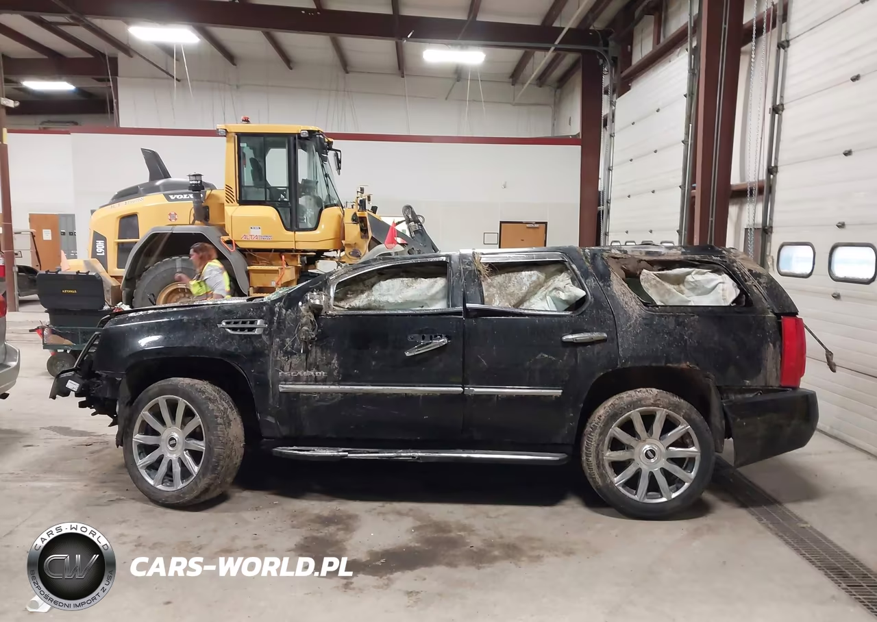 2010 Cadillac Escalade Luxury VIN:1GYUKBEF9AR148417 - 13