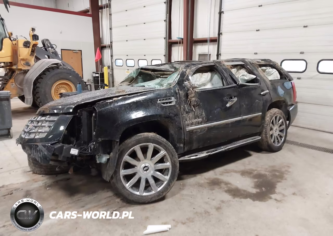 2010 Cadillac Escalade Luxury VIN:1GYUKBEF9AR148417 - 2